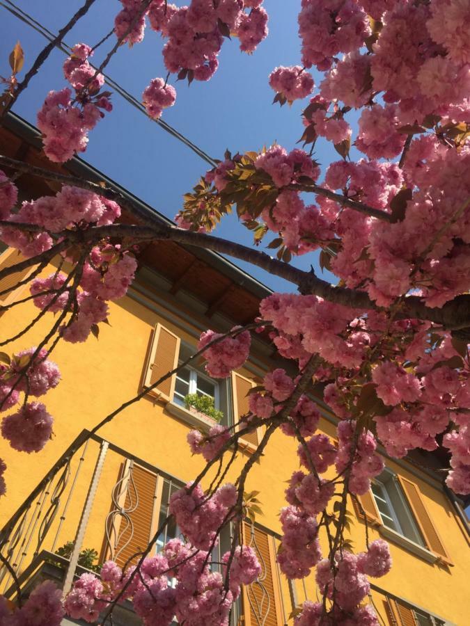 Liberty Room And Breakfast Borgo Val di Taro Bagian luar foto